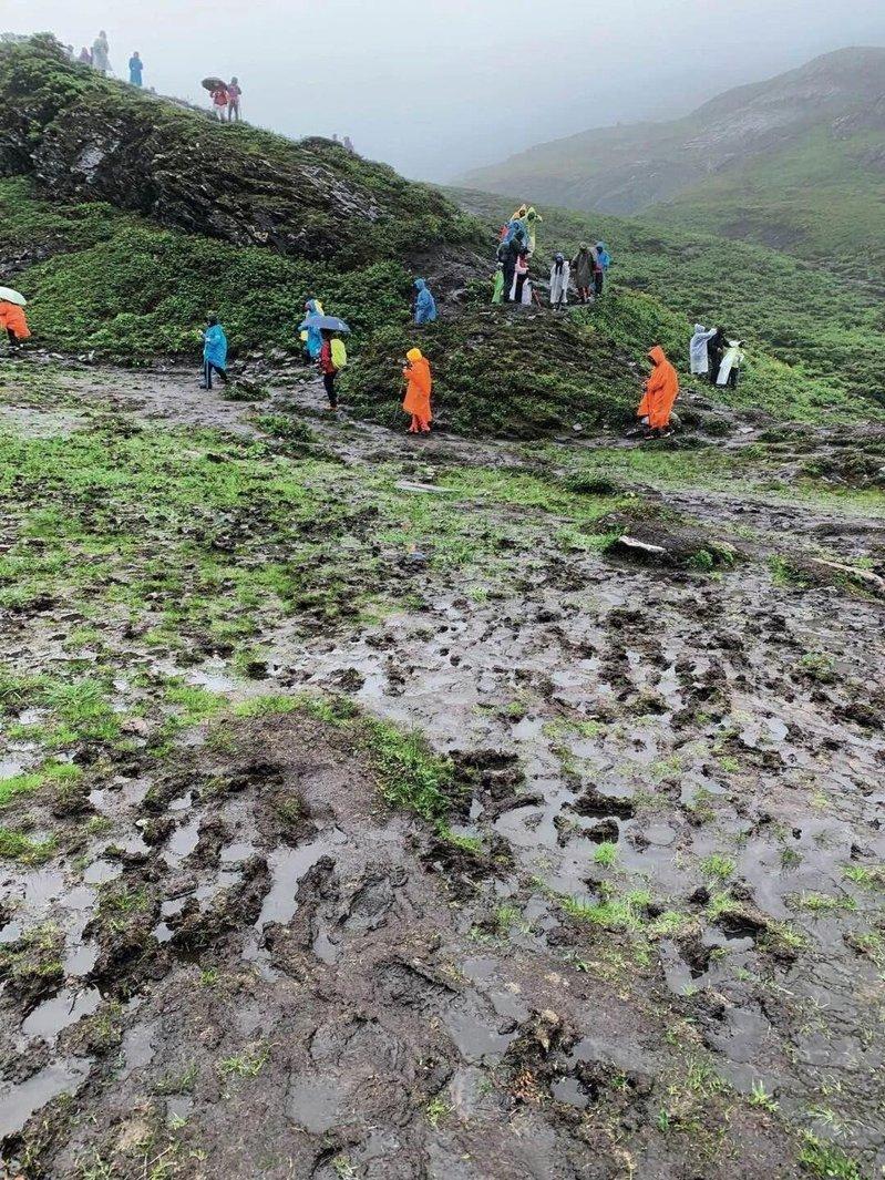 南姐洛徒步路在线,高山植被遭踩踏的场景比比皆是。(取材自中国新闻周刊)