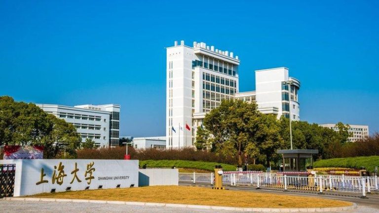 上海大学12日通报，针对该校教师相关论文数据遭质疑一事，调查组确认其中一张图表涉...