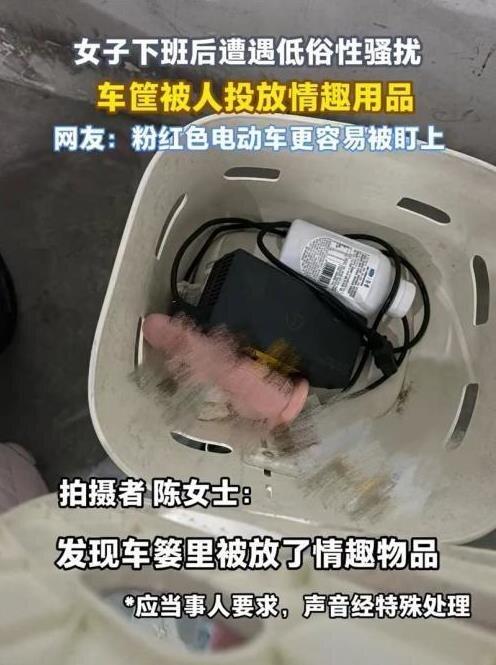 陈女士车筐里的粉红色假阳具。(视频截屏)