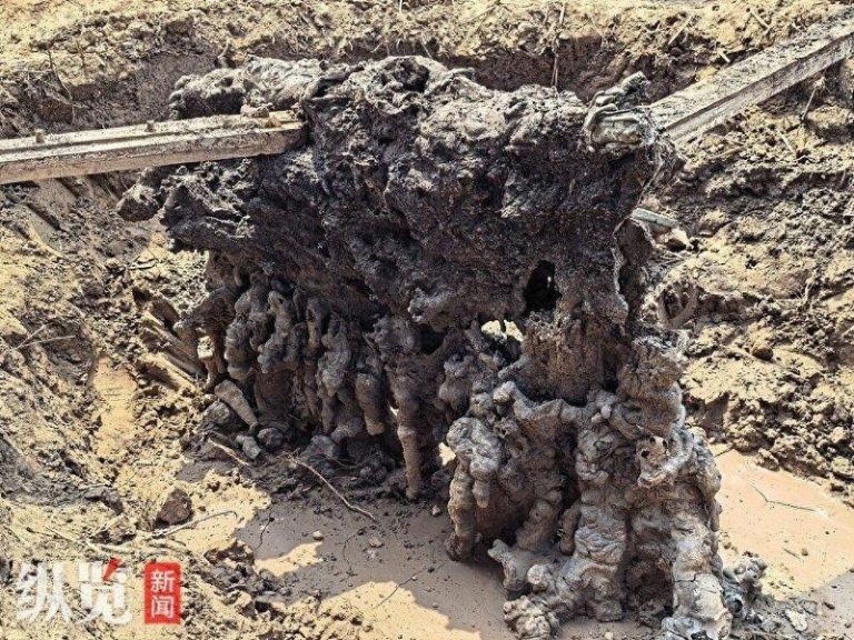 麦地里的闪电熔岩。（取材自纵览新闻）