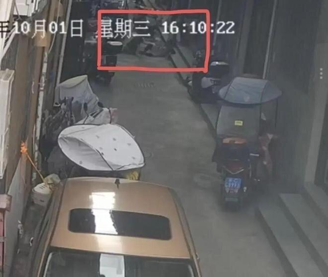 两位老人纷纷跌倒。(视频截屏)