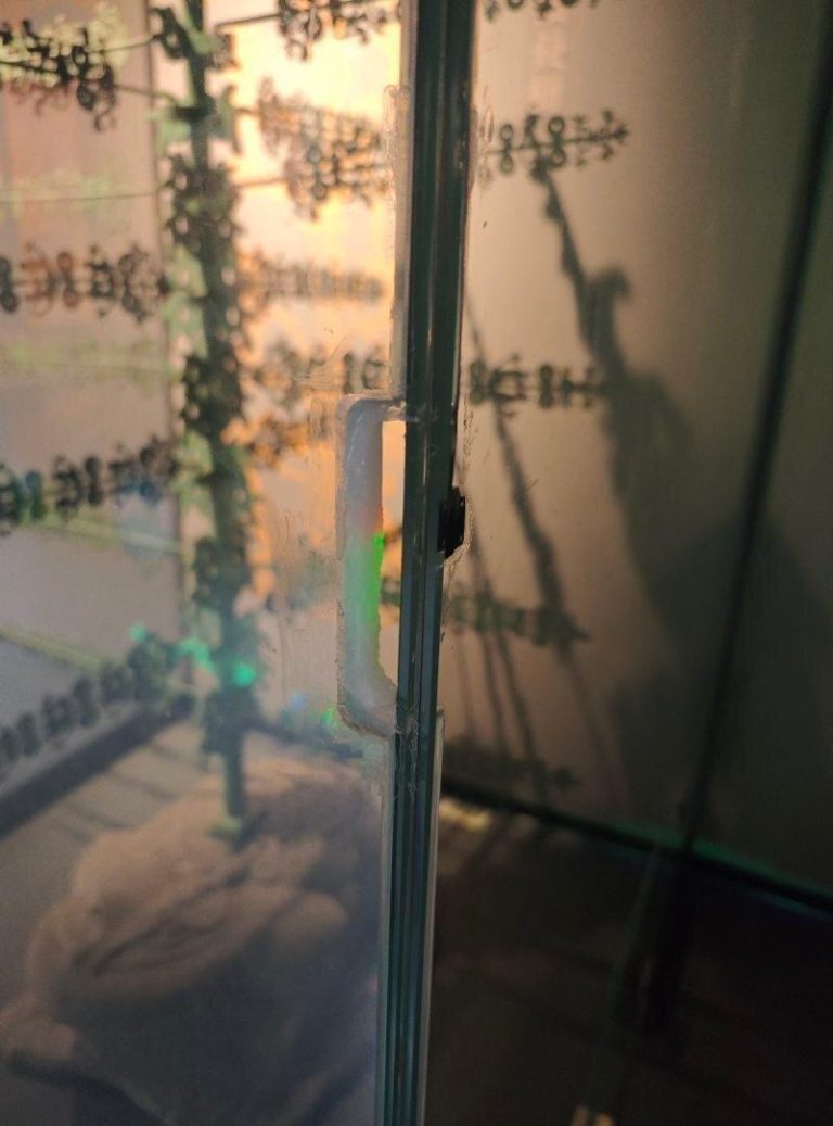 言先生注意到展柜正面玻璃有一处小开口。(取材自上游新闻)