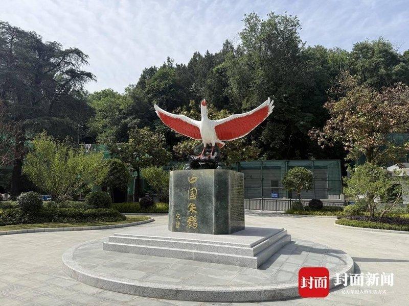朱鹮雕像。（取材自封面新闻）
