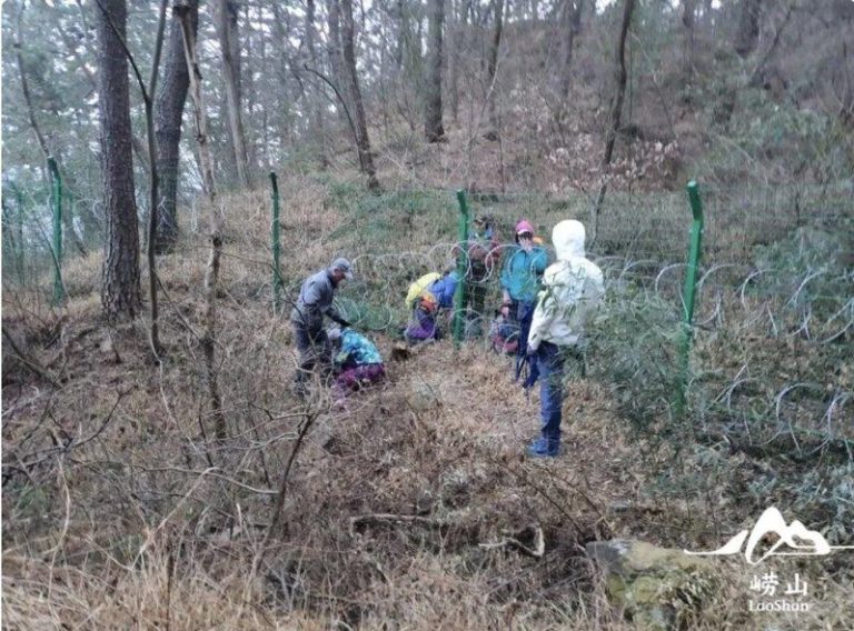 青岛崂山也有泰山「同款」 为了阻驴友违规穿越 崂山景区曾为打击驴友违规穿越修补更换加装了隔离网。(取材自崂山风景区官方图)