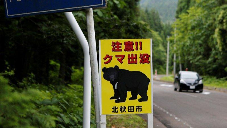 日本近来熊只出没事件频传,学生上下学安全引发家长忧虑。(路透)