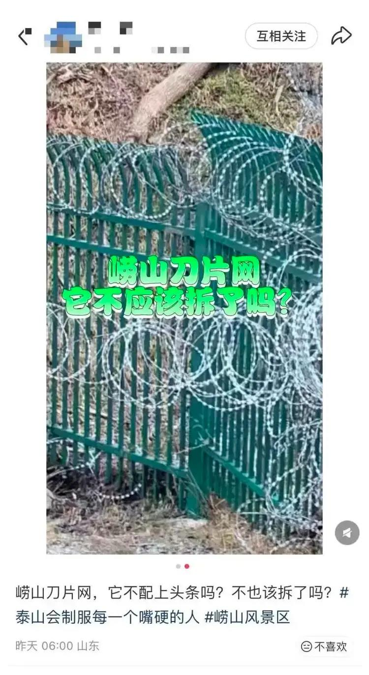 山东网友称崂山也有泰山同款「刀片网」。(取材自上游新闻/网络截屏)
