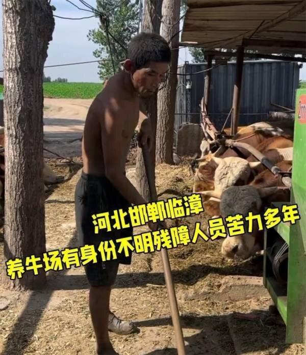 上官正义发现一名残障男子长期在牛场当苦力。(视频截屏)