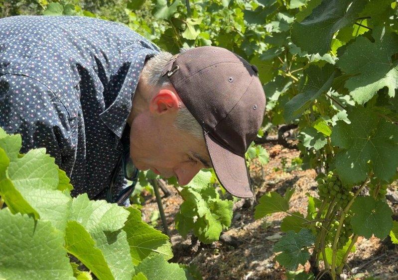 酒农艾米格(Othmar Elmiger)认为亲手种植葡萄、酿葡萄酒,是一份充满...