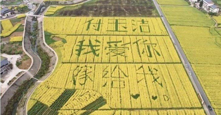位于重庆市垫江县的「大地情书」暴红。(取材自上游新闻/受访者提供)