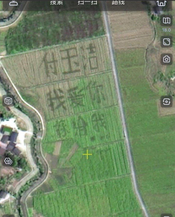 位于重庆市垫江县的「大地情书」暴红。(取材自上游新闻/受访者提供)