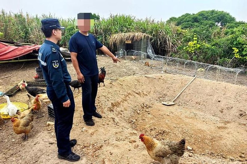 「网红主播」被指违建禽舍。(取材自红星新闻/宁波海警供图)