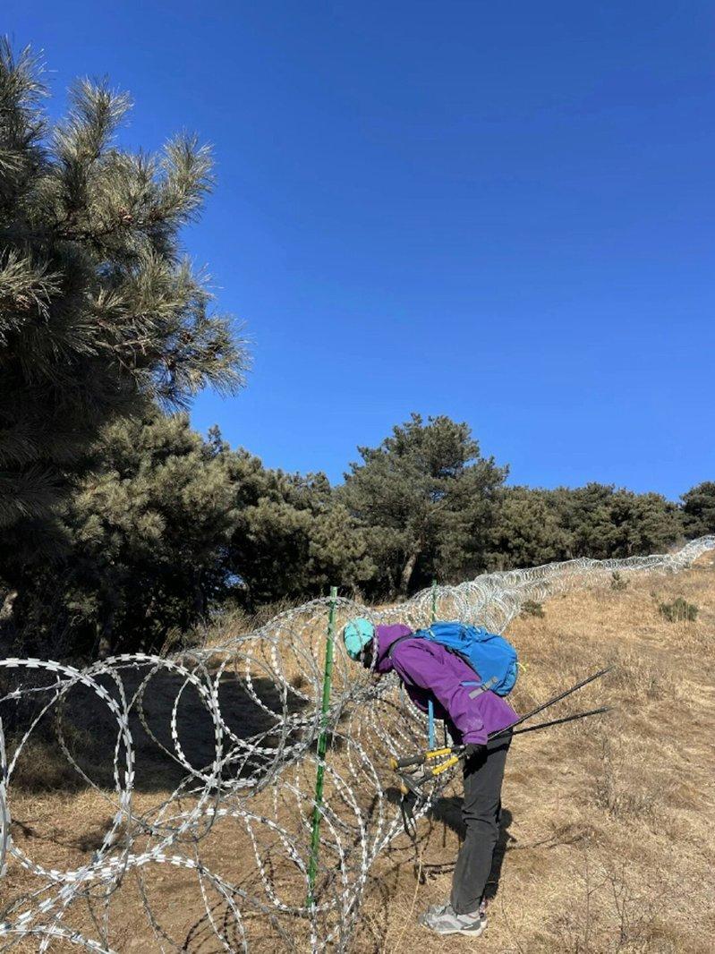 泰山景区设135公里刀片网防驴友闯入,引发争议。(视频截屏)