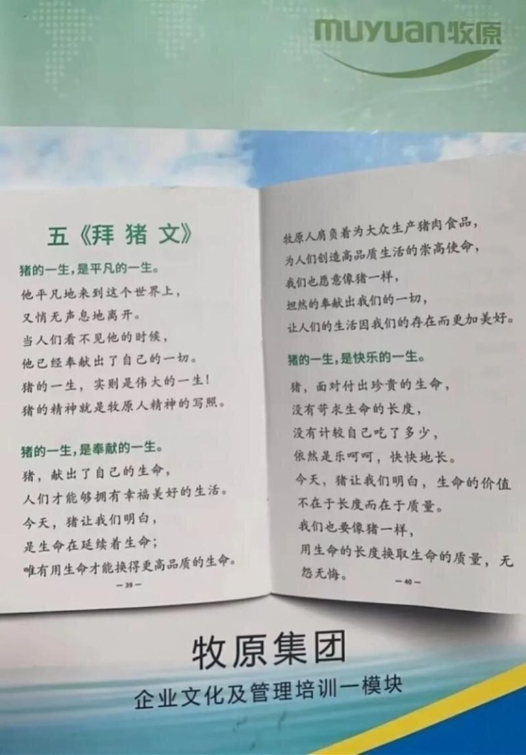 牧原集团职工培训的「拜猪文」引发争议。（取材自南方都市报）