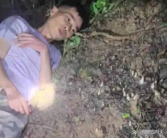 广西一名男子夜里进山找菌子时,原地守了3个半小时,等待期间菌子长高约1厘米。(取...