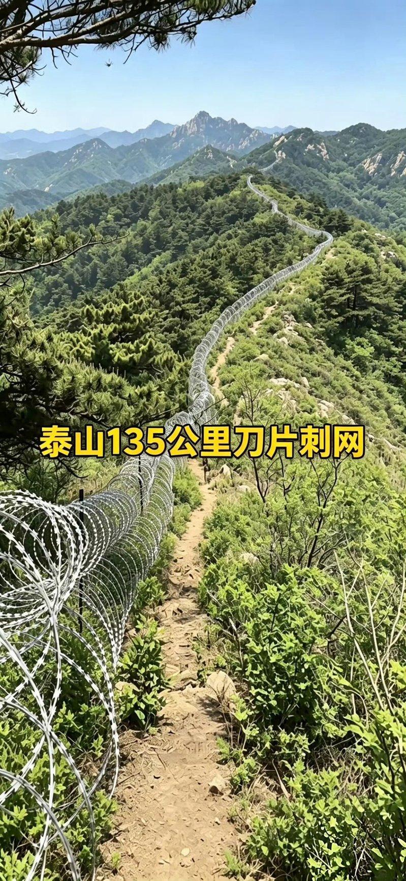 泰山景区长达135公里铁丝网。(取材自微博)