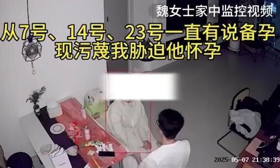 魏女士家中监控画面。(视频截屏)
