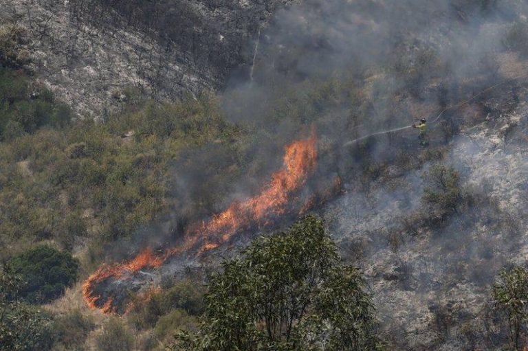 西班牙南部森林火灾 致6人死亡 高温天气显著增加森林火灾风险,图为6月10日安达卢西亚自治区森林火灾情形。(欧新...