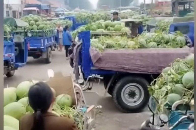 河南西瓜滞销,路边停满了卖瓜的车。 (视频截屏)