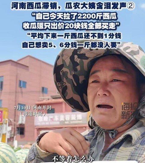 2200斤西瓜卖20元,瓜农大婶无奈哭诉:1斤瓜不到1分钱。(视频截屏)