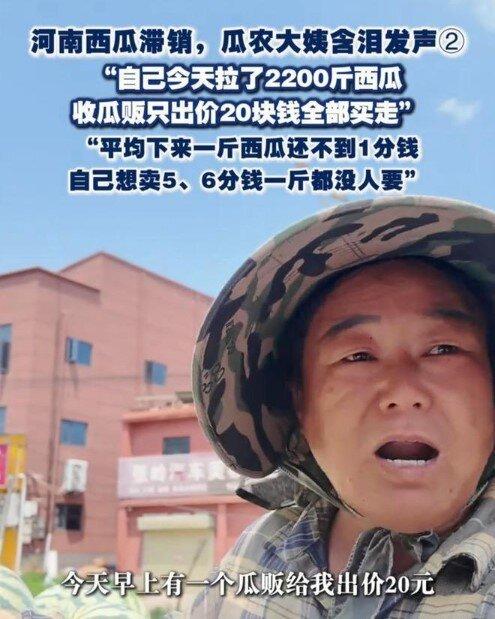2200斤西瓜卖20元,瓜农大婶无奈哭诉:1斤瓜不到1分钱。(视频截屏)