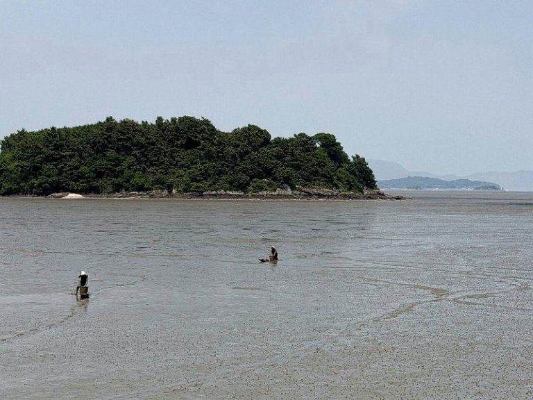 南韩泥滩第2阶段扩大登录世界遗产顺利通过；图为全罗南道高兴郡的竹岩里泥滩。(中央...