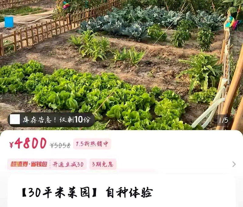 网上的共享菜园租地费,有的一年地租高达人民币4800元。(取材自小红书)