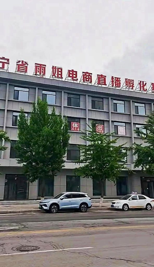 1800万购入…「东北雨姐」电商楼挂牌开价3500万 网:还想捞一笔 「雨姐电商直播孵化基地」大楼正挂牌出售,出让价为3500万元。(取材自极目新闻)