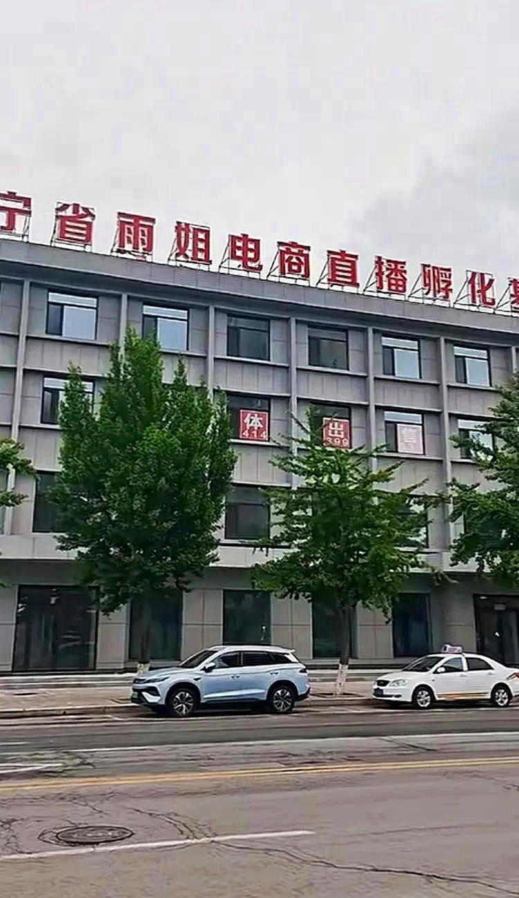 「雨姐电商直播孵化基地」大楼正挂牌出售,出让价为3500万元。(取材自极目新闻)