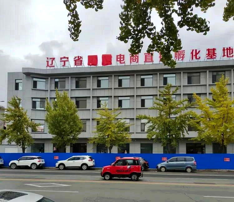 「雨姐电商直播孵化基地」大楼正挂牌出售,出让价为3500万元。(取材自极目新闻)