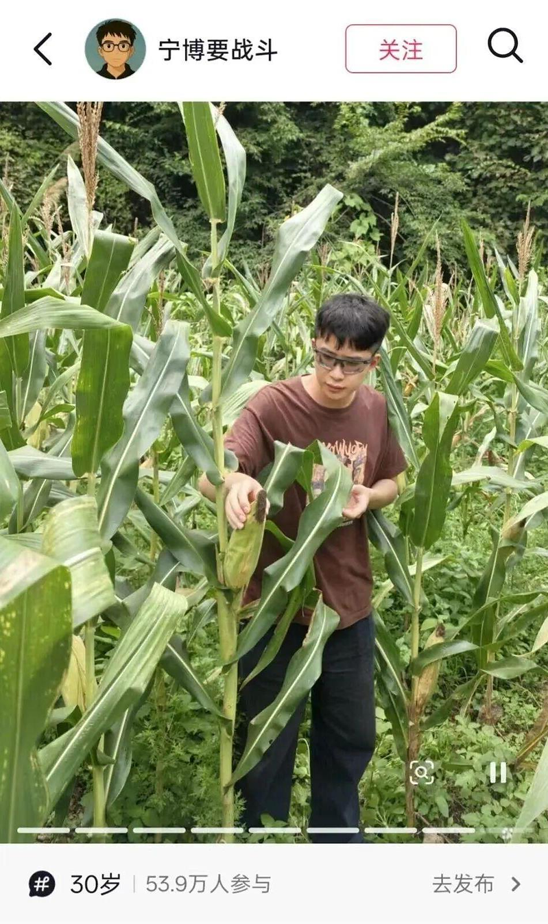 曾以「天才少年」计划入职并获百万年薪的前华为员工宁博宇,近日辞职回老家卖玉米。(...