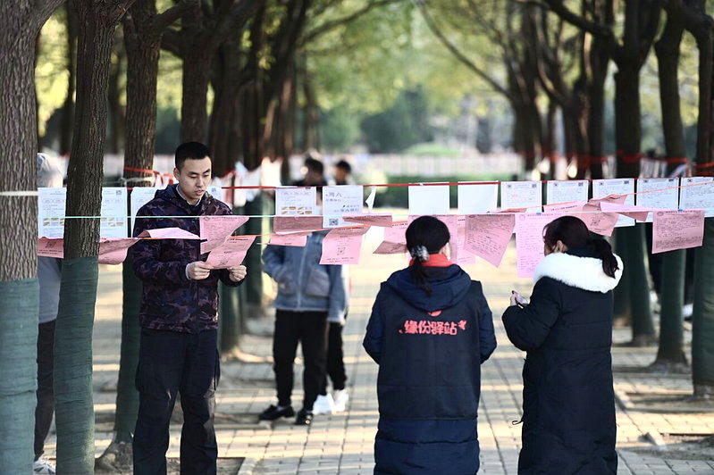 图为一处挂满未婚青年简历的「相亲角」。示意图。(中新社)
