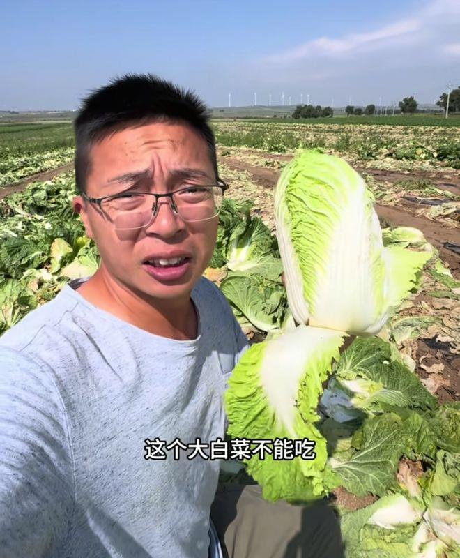 博主曝光黑心大白菜。(取材自微博)