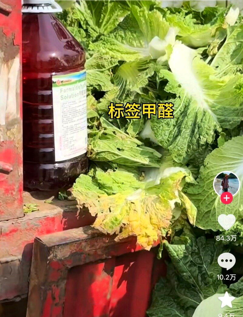 中国环保博主「渔猎齐哥」揭露的河北「甲醛白菜」引发食安疑虑。(取材自观察者网)