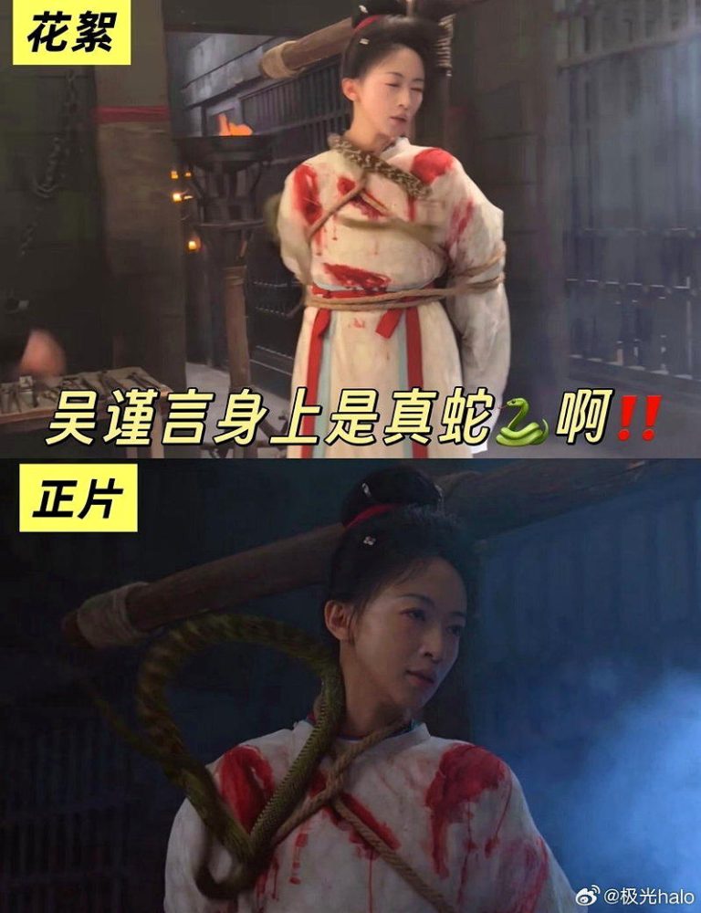 吴谨言拍牢狱戏遭丢真蛇 于正回应「她习惯了」再惹议 吴谨言的牢狱戏被丢了一条活体蛇。(取材自微博)