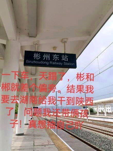 尤女士在社交平台上分享经历。(取材自极目新闻)