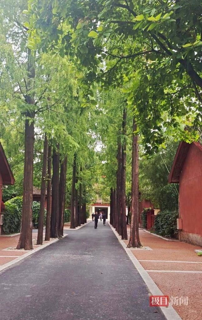 卢氏县委大院。（取材自极目新闻）