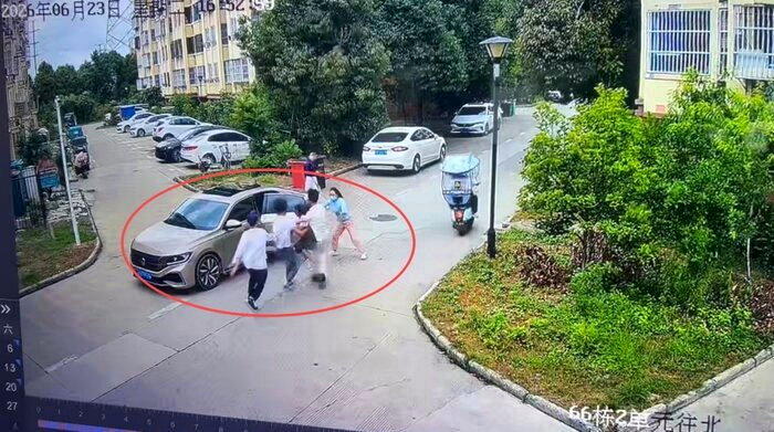 生母派人强行抱走女儿。(视频截屏)