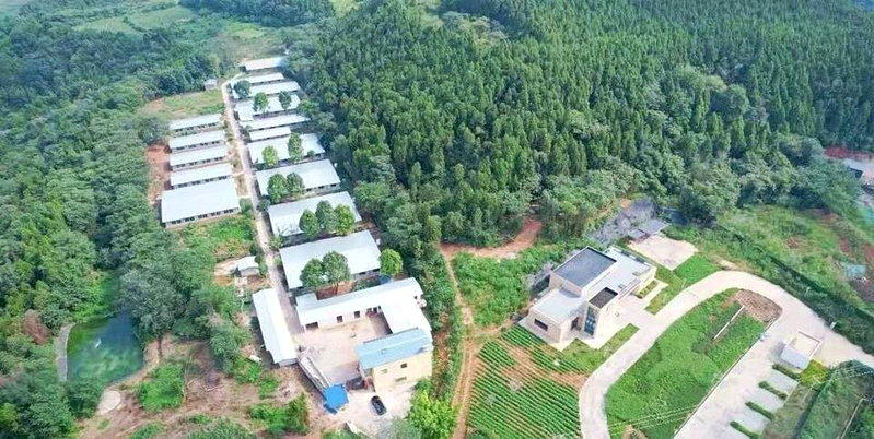李怡的养殖场。(取材自华西都市报/李怡供图)