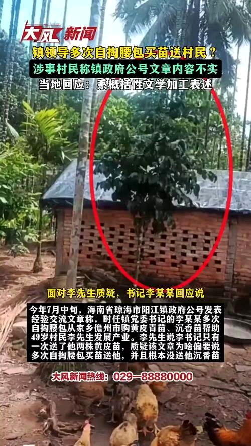 海南省琼海市阳江镇政府被指夸大帮扶经历,称镇党委书记「多次自掏腰包」赠送黄皮苗,...