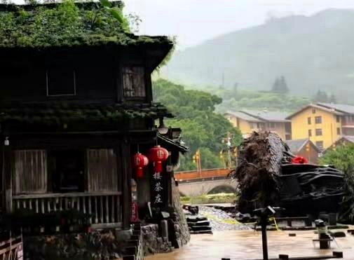 福建土楼景区云水谣600多年古榕树被洪水冲断。(取材自九派新闻)