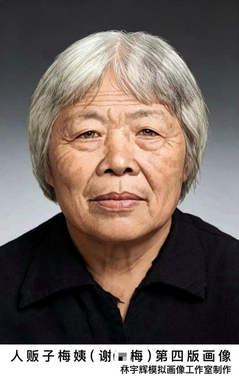 「梅姨」最新第四版画像与本人相似度极高。（取材自大象新闻）