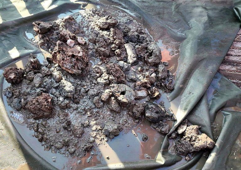 中国科考团队在西太平洋弧后盆地发现的金银矿藏。（取自央视新闻）