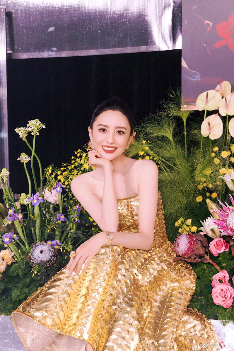 佟丽娅与陈思诚官宣离婚达五年。(取材自微博)