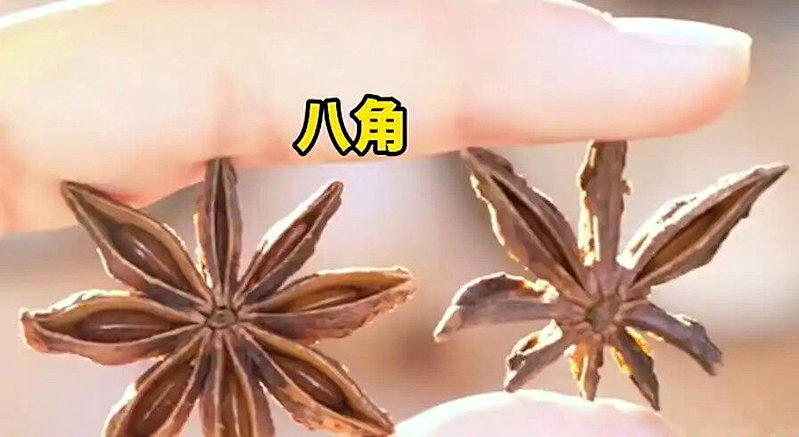 八角。(取材自广州日报)