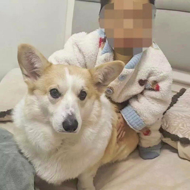 坠亡幼童父亲崔先生的微信头像。 （取材自潇湘晨报）