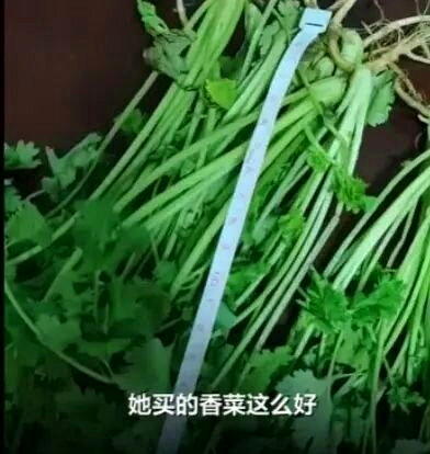 一份仅售8.59元的香菜,竟引发了一场跨越千里的维权行动。(视频截屏)