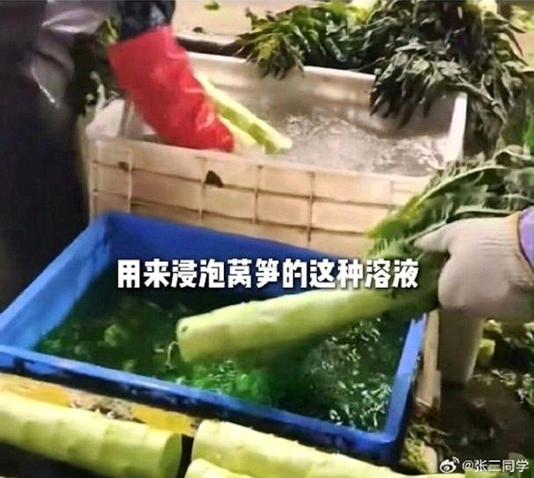博主发布视频曝光甘肃兰州榆中县疑似存在「染色莴笋」的情况。（取材自微博）