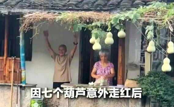浙江绍兴陈爷爷家门前的7个葫芦,近日成为热门话题。(取材自鲁中晨报)