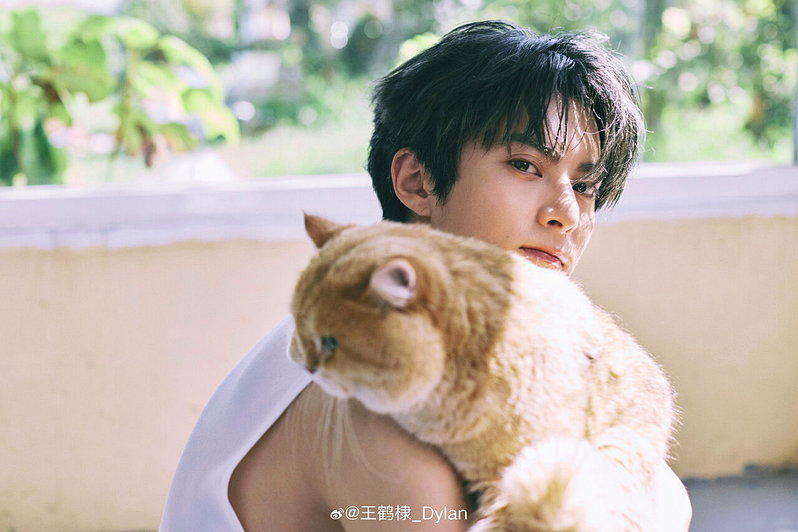 中国人气男星王鹤棣。图/截自微博/王鹤棣_Dylan