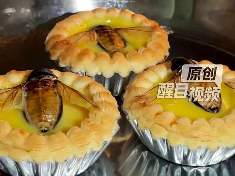 在地食疗?佛山酒楼推「水蟑螂」蛋挞 业主:口感香脆 广东佛山一间酒楼近日推出一款震撼视觉的「水蟑螂蛋挞」。(取材自醒目视频)